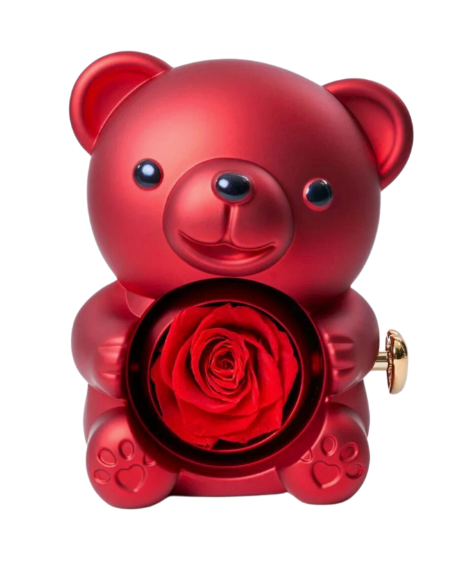 Coffret OursHug avec collier Coeur à Coeur