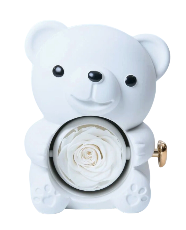Coffret OursHug avec collier Coeur à Coeur